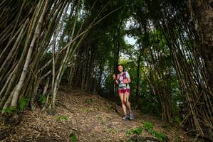 BIB: 
                            <button type="button" onclick="openModal(19396069)" class="btn btn-primary btn-sm float-right btn-popup" data-toggle="modal" data-target=".modal-high-quality">
                        <i class="fas fa-shopping-cart"></i> Add to Cart
                    </button>
                                            <button type="button" onclick="isThisMe(19396069, true)" class="btn btn-success btn-sm float-right btn-popup btn-isme hidden" data-toggle="tooltip" data-placement="bottom" title="นี่คือรูปของคุณใช่ไหม คลิกที่นี่เพื่อเอาเข้าอัลบั้ม">
                        <i class="fas fa-plus"></i> Add to album
                    </button>
                    <button type="button" onclick="isThisMe(19396069, false)" class="btn btn-warning btn-sm float-right btn-popup btn-isnotme hidden">
                        <i class="fas fa-ban"></i> Remove from album
                    </button>